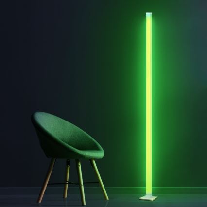 LED RGBW Lampadaire à intensité variable MAGICAL LED/7W/230V + télécommande