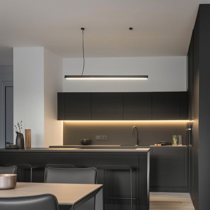 LED Soffitto fisso Lampada a sospensione CYNIDECO LED/45W/230V 4000K nero