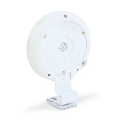 LED-Solar-Wandleuchte LED/1,2 V 1000 mAh IP44 weiß