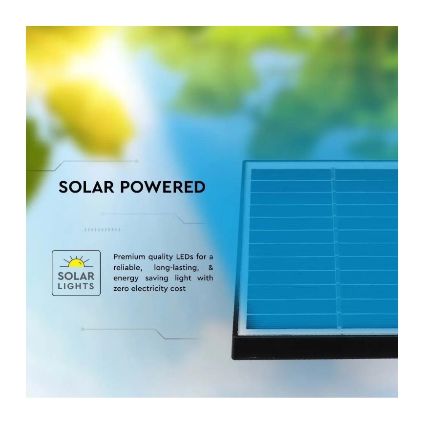 LED-Solarleuchte SPIKE LED/2W/5,5V IP65 6400K