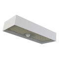 LED-Solarstrahler mit Bewegungssensor LED/3,7V 3000mAh 4000K IP65 weiß
