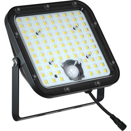 LED-Solarstrahler mit Sensor LED/30W/6,4V 4000K + Fernbedienung