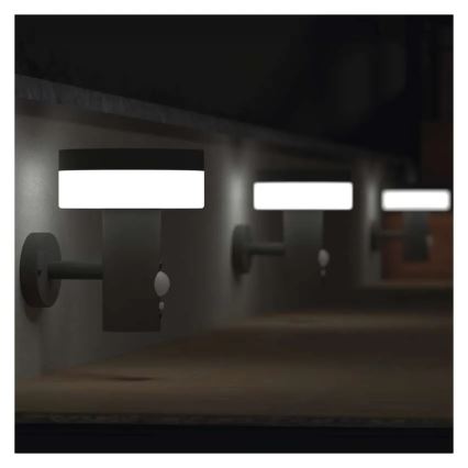 LED-Solarwandleuchte mit Sensor LED/2W/3,7V 1200 mAh IP44