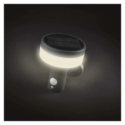 LED-Solarwandleuchte mit Sensor LED/2W/3,7V 1200 mAh IP44