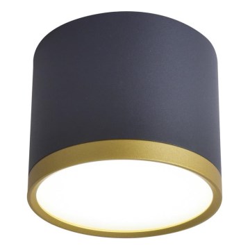 LED Spot TUBA LED/9W/230V schwarz/gold
