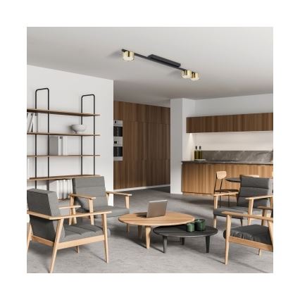 LED-Spotleuchte LOGAN 3xGU10/10W/230V schwarz/gold