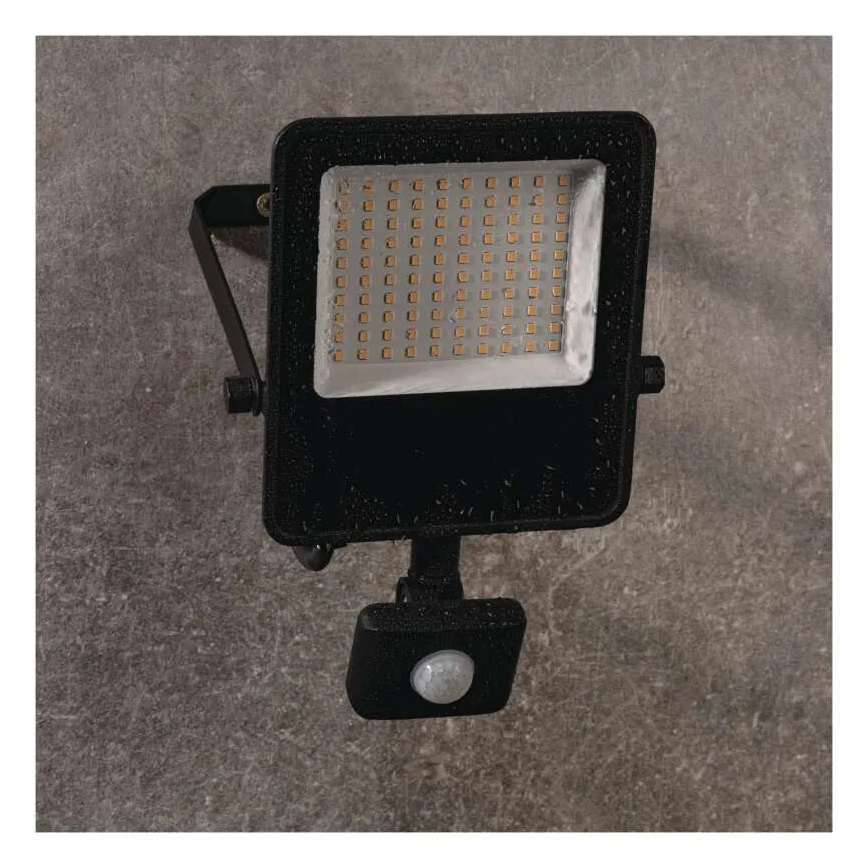 LED-Strahler mit Sensor VISIO LED/50W/230V 4000K IP65