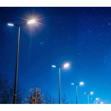 LED-Straßenleuchte BRELUXO LED/100W/230V 4000K IP65