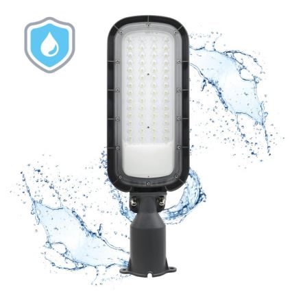 LED-Straßenleuchte BRELUXO LED/100W/230V 4000K IP65