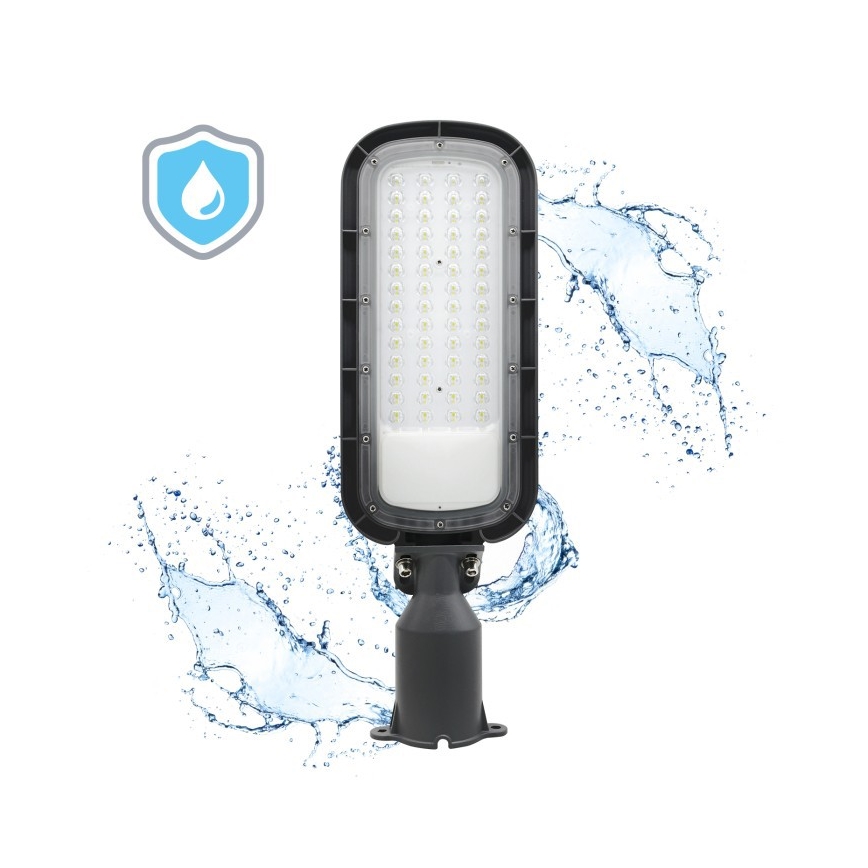 LED-Straßenleuchte BRELUXO LED/100W/230V 4000K IP65