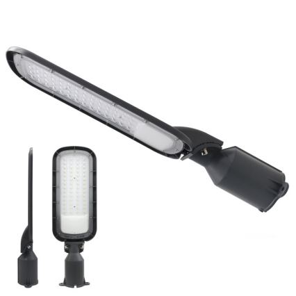 LED-Straßenleuchte BRELUXO LED/100W/230V 4000K IP65