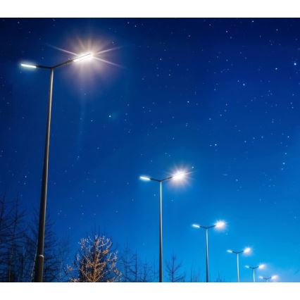 LED-Straßenleuchte BRELUXO LED/50W/230V 4000K IP65