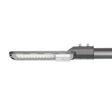 LED-Straßenleuchte LED/50W/230V 6500K IP65 grau