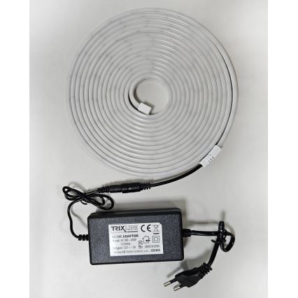 LED Striscia flessibile NEON LED/10W/230V 5 m IP65 bianco