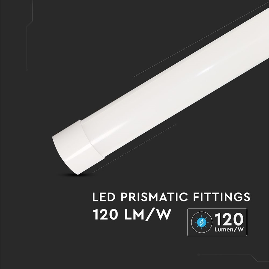 LED Tube fluorescent LED/20W/230V 6500K 60 cm blanc