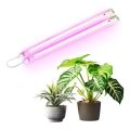 LED Unterbauleuchte für Pflanzenzucht GROWLY 2xLED/8,5W/230V weiß