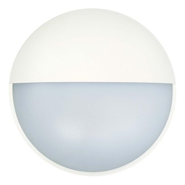 LED-Wandleuchte für den Außenbereich LED/14W/230V IP54 weiß