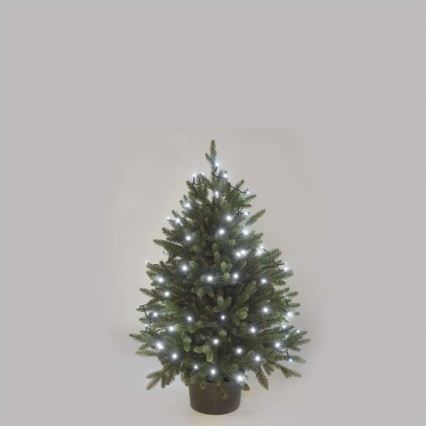 LED-Weihnachts-Lichterkette für den Außenbereich 80xLED/13m IP44 kaltweiß