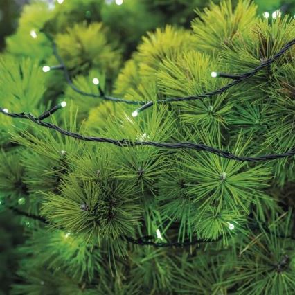 LED-Weihnachtslichterkette für den Außenbereich 100xLED/10m IP44 grün