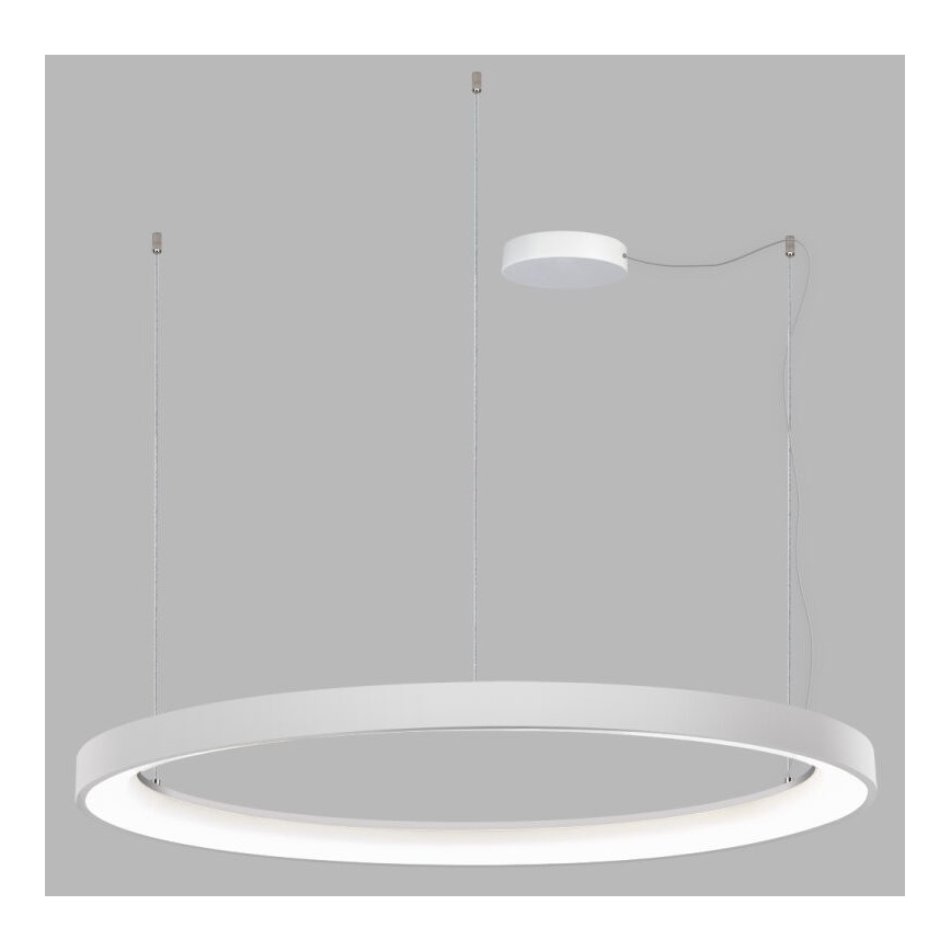 LED2 - Lampadario LED dimmerabile su una stringa BELLA LED/80W/230V 3000K/4000K bianco