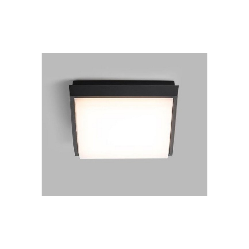 LED2 - LED-Außendeckenleuchte QUADO LED/10W/230V anthrazit IP54