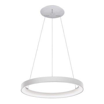 LED2 - LED-Hängeleuchte an einer Schnur BELLA LED/48W/230V 3000K/4000K weiß