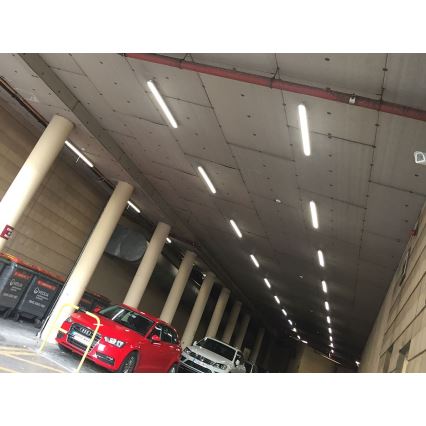 LED2 - Lumière LED industrielle DUSTER LED/52W/230V IP66