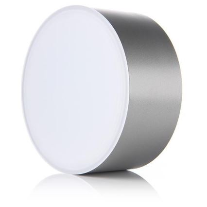 LED2 - Plafoniera LED BUTTON LED/17W/230V argento