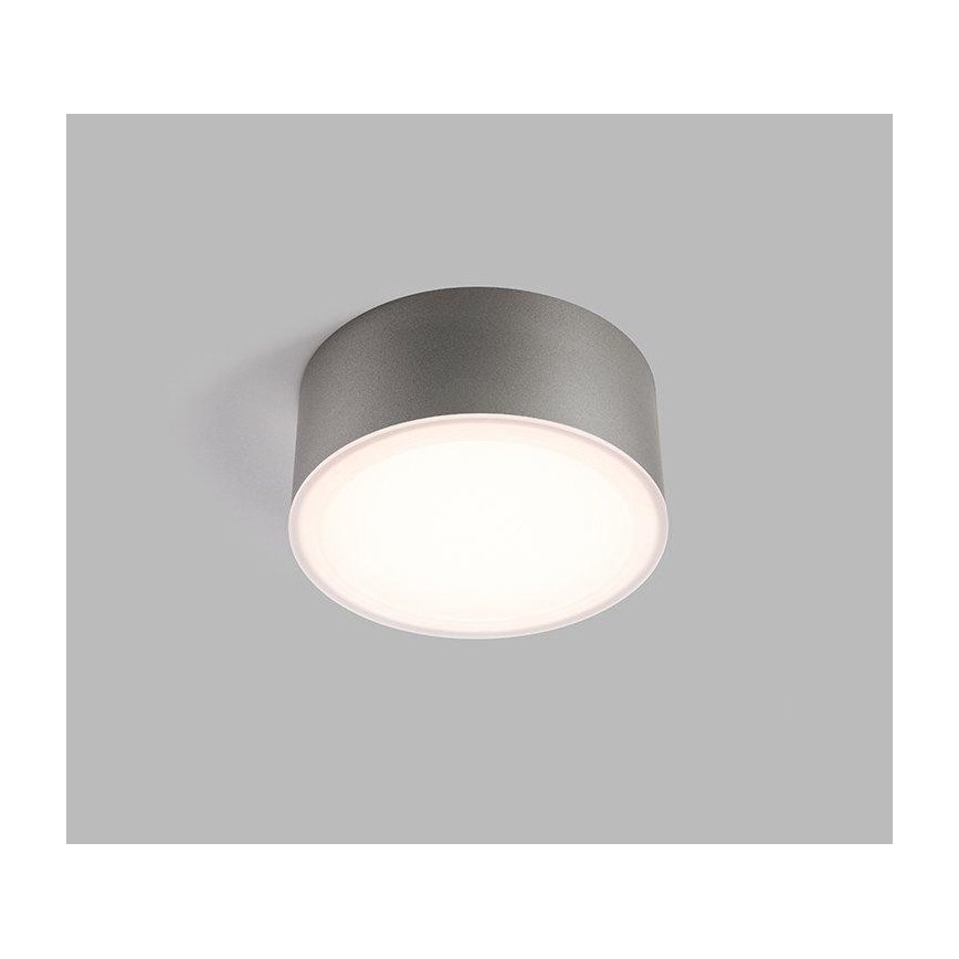 LED2 - Plafoniera LED BUTTON LED/17W/230V argento