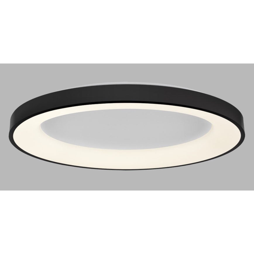 LED2 - Plafonnier à intensité variable BELLA LED/80W/230V 3000K/4000K noir