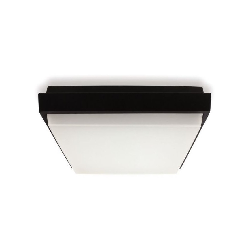 LED2 - Plafonnier LED extérieur QUADO LED/10W/230V anthracite IP54