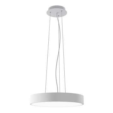 LED2 - Suspension LED sur câble MONO SLIM LED/30W/230V 3000K/4000K Ø 40 cm blanche