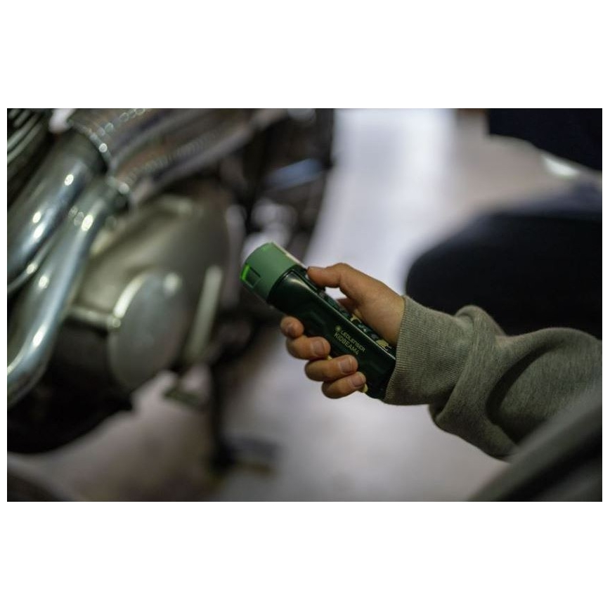 Ledlenser KIDBEAM4 DINO - LED-dimmbare Kinder-Taschenlampe LED/2xAAA IP44 grün