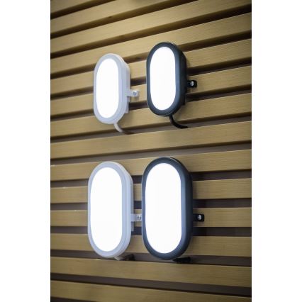 Ledvance - Applique LED da esterno BULKHEAD LED/6W/230V IP54 nera