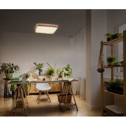 Ledvance - dimmbare LED-Deckenleuchte ORBIS LED/16W/230V 3000K 29x29 cm