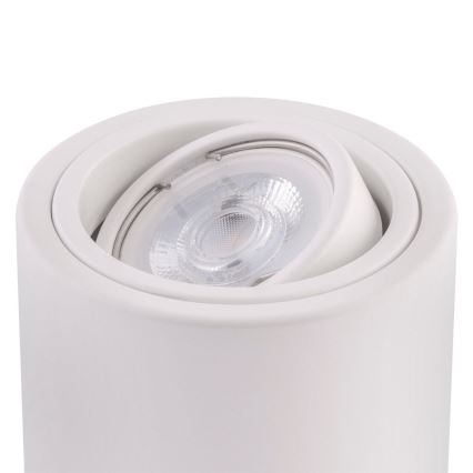 Ledvance - Faretto TUBA 1xGU10/50W/230V
