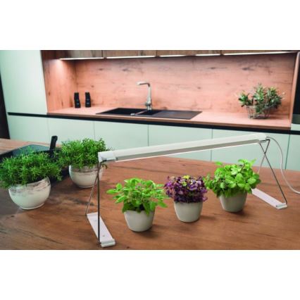 Ledvance - Lampada LED per interni LUCE DA GIARDINO LED/14W/230V