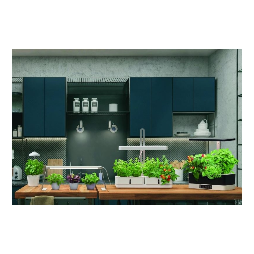 Ledvance - Lampada LED per interni LUCE DA GIARDINO LED/14W/230V