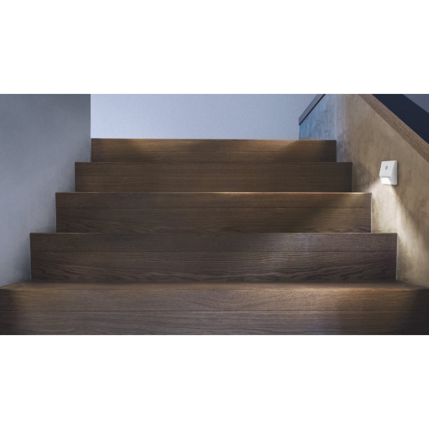 Ledvance - Lampada LED per le scale con sensore NIGHTLUX LED/0,25W/3xAAA IP54