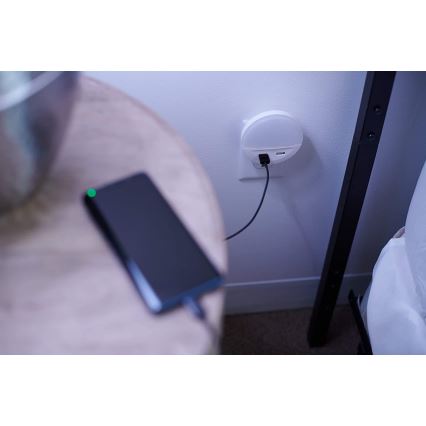 Ledvance - Lampada notturna a spina con sensore LUNETTA 2xUSB LED/13W/230V