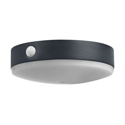 Ledvance-LED Applique solare con sensore ENDURA STYLE LED/6W/3,7V IP44