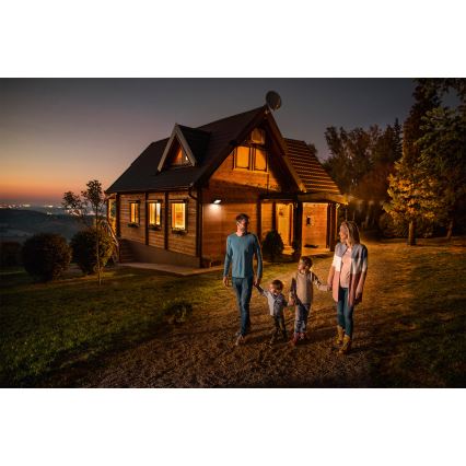 Ledvance - LED-Außen-Wandfluter mit Bewegungs- und Dämmerungssensor LED/30W/230V IP65