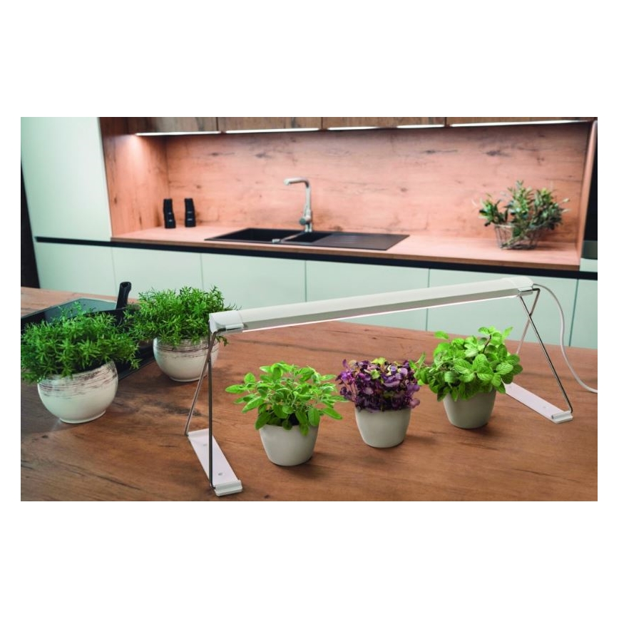 Ledvance - LED-Innenleuchte GARDEN LIGHT LED/14W/230V