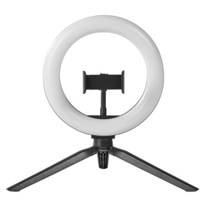 Ledvance - Lampada da tavolo LED dimmerabile con un supporto e supporto per vlogging LED/5,5W/USB 3000/4000/6500K