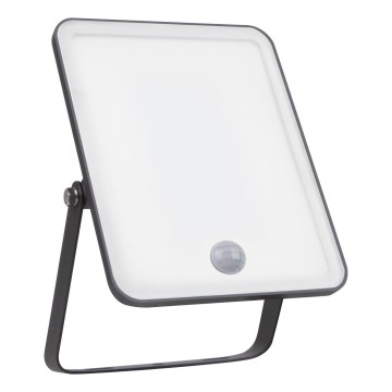 Ledvance - Projecteur mural extérieur LED à détecteur de mouvement et crépusculaire FLOODLIGHT LED/30W/230V IP65