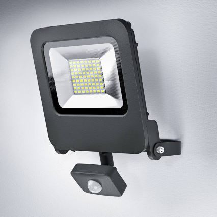 Ledvance - Riflettore LED con sensore ENDURA LED/50W/230V IP44