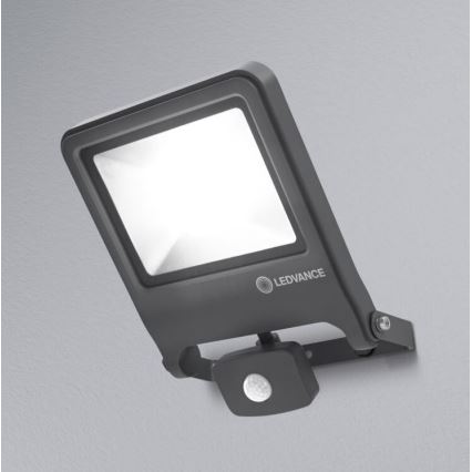 Ledvance - Riflettore LED con sensore ENDURA LED/50W/230V IP44