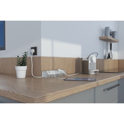 Legrand 049406 - Rallonge 3Z Type E + USB-A + USB-C 1m argent/blanc