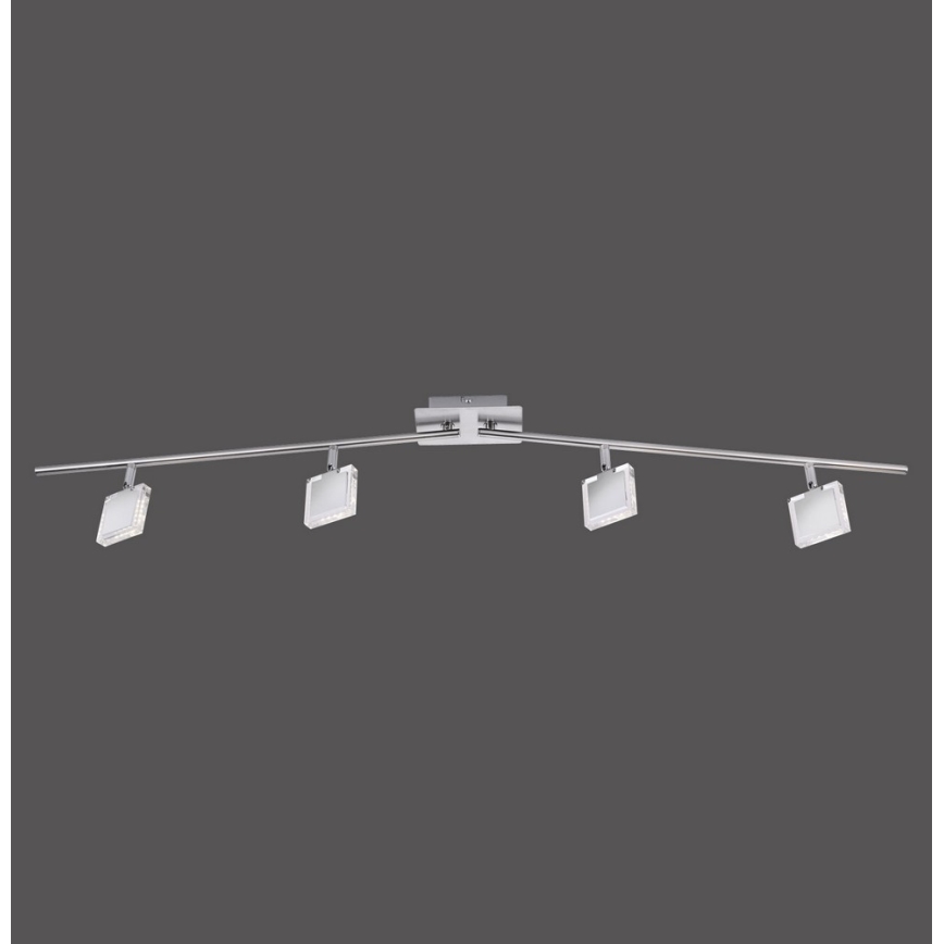 Leuchten Direkt 11084-55 - Luce Spot a LED TONY 4xLED/4W/230V