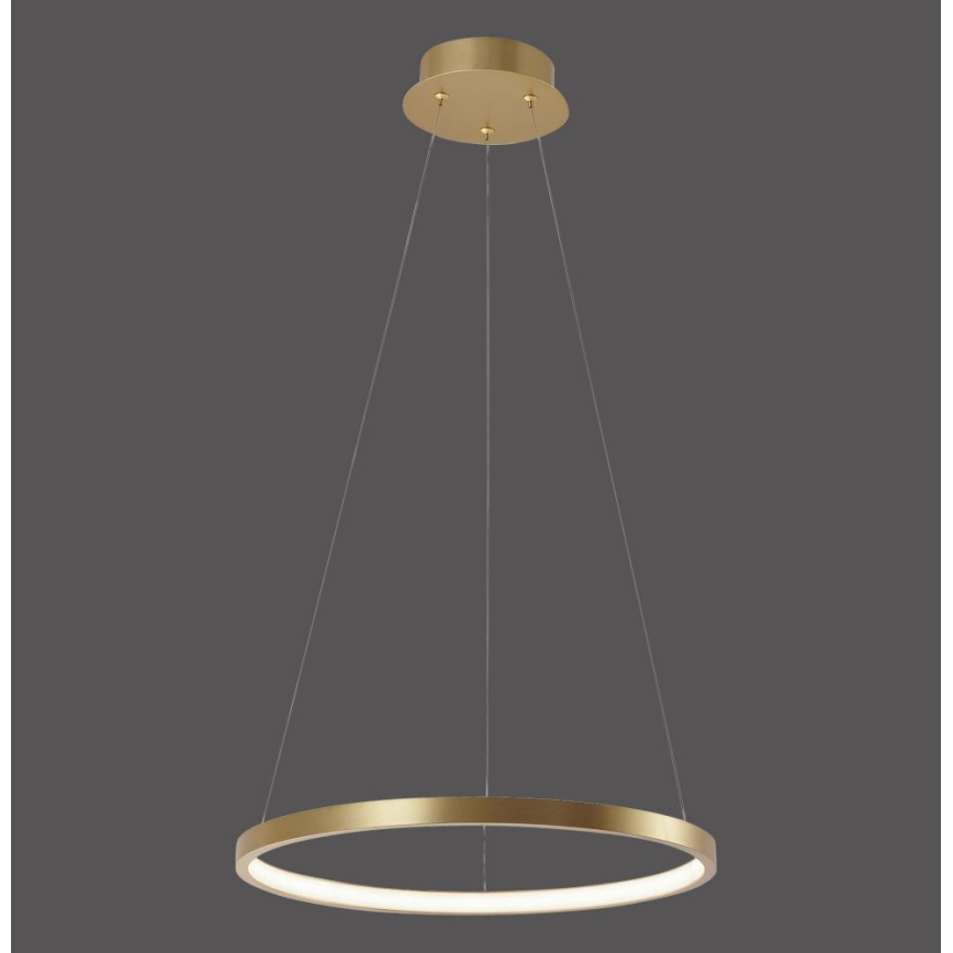 Leuchten Direkt 11522-12 - Lampadario LED a sospensione CIRCLE LED/19W/230V